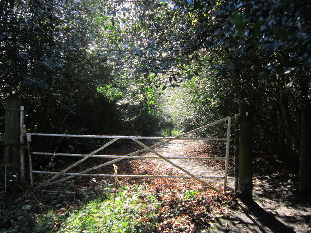 Entering Ashbank Wood