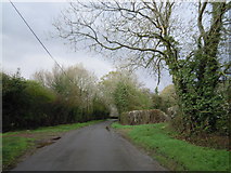 TQ4225 : Road near Holmesdale Farm by Mark Lindsay-Bayley