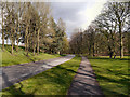 SD8204 : Heaton Park by David Dixon