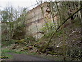 A large former face in the old Grinshill quarries