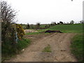 Farmland on the east side of Shinn Road