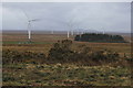 ND1650 : Causeymire wind turbines by Roger Davies