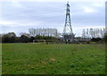 Electricity pylon alongside the B4304, Llanelli