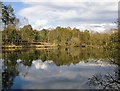 The Fishpond, Chobham Common