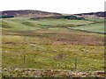 Marshy valley, Braes of Coul