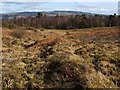 NS3778 : Old boundary on Carman Muir by Lairich Rig