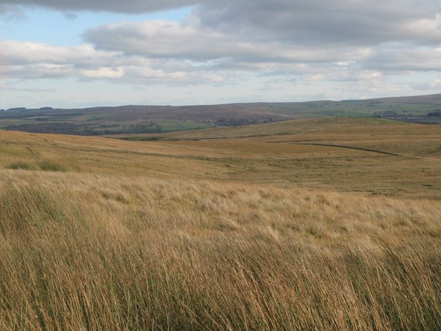 Featherstone Common north of Round Hill © Mike Quinn cc-by-sa/2.0 ...