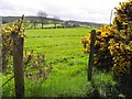 Tycanny Townland