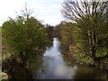 River Rother near New Whittington