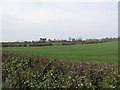 View across fields of cultivated grass to houses on the Glaskerbeg Road