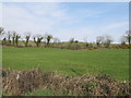 Farmland to the south of Ouley Road