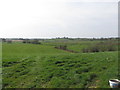 Cultivated grassland on the margins of a partially reclaimed wetland