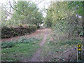 Footpath and laid hedge north from Smithy Lane