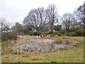 Pond on Burrow Hill Green, Chobham