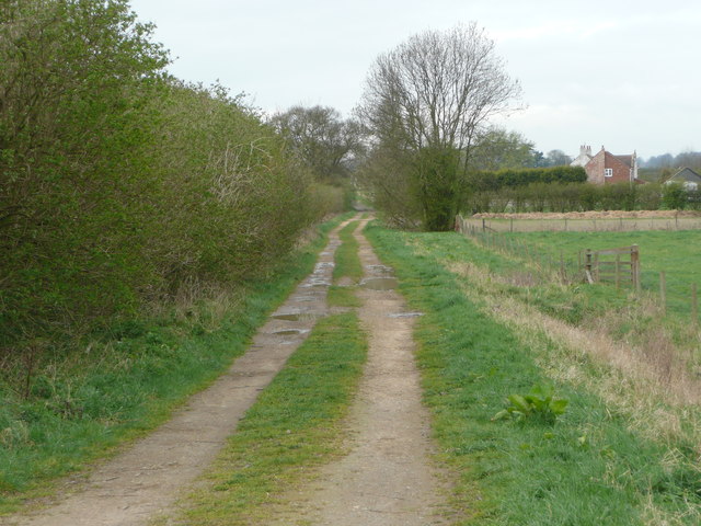 Winteringham Lane, looking towards West Halton