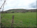 SO1721 : View across fields towards Pen-y-gaer by Jeremy Bolwell