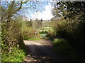 Footpath near Combe Waxway