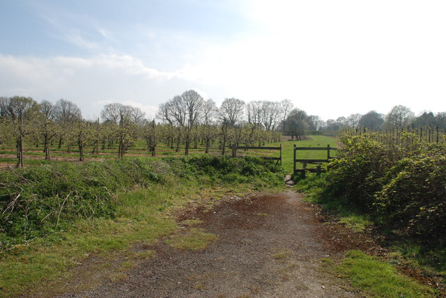 End of track at Three Towns looking onto Bentinck Farm orchards
