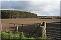 Ploughed Field near Whiteinch