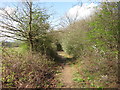 Footpath to Five Oak Green Road