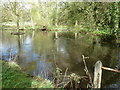 Pond by the entrance to Shulbrede Priory