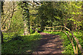 Rixton Clay Pits Nature Reserve