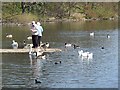 Feeding time at Marden Park Nature Reserve