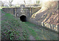 SO9600 : Southern portal of the Sapperton Tunnel by Stuart Logan