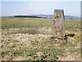 SS9537 : Trig point on Lype Hill by Roger Cornfoot