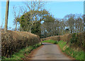 2012 : Moorledge Lane looking north