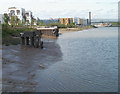 West bank of the River Usk, Newport