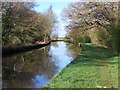 Llangollen Canal at western end of Whixall Moss