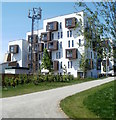 East Dock Road housing viewed from a riverside path, Newport