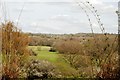 View towards Bolebroke Castle from Hartwell