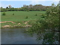 Woodland, pasture and the River Severn