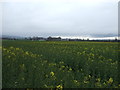 Farmland, Islebeck Grange