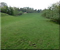 Pasture on the west bank of the River Severn