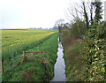 Drainage ditch beside Park Road