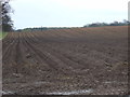 Ploughed field off Pasture Lane