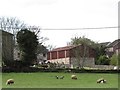 The Presbyterian Graveyard at Hillstown