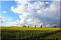 Cucklington: View from Church Dairy Farm