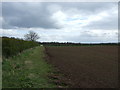 Farmland off Skelton Lane