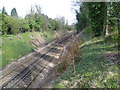 View of the railway line from Purley Downs Road