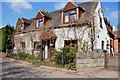 Old Cottage covered in Creepers at Bramshall