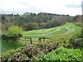 Mown field above Leapmill Burn