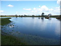 Brechfa Pool in springtime