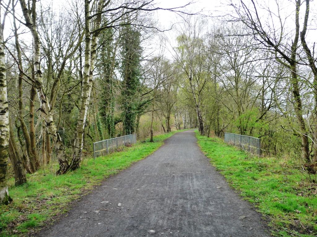 The Derwent Walk, A Former Railway Line © Christine Johnstone ...