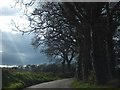 Road near Greenlands Farm