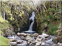 NT9219 : Unnamed waterfalls on the Harthope Burn by Andrew Curtis