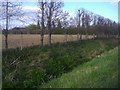 Ploggs Hall oast house from Whetsted Road